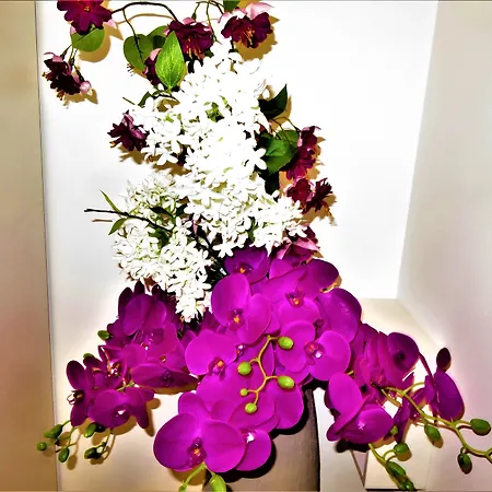 Residenza Montegrappa Пескичи